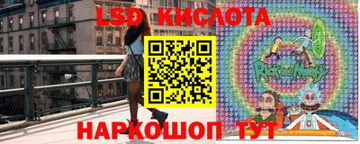 винт Новодвинск